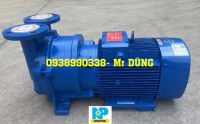 Bơm chân không vòng nước 1 cấp 5.5kw đầu liền mã 2BV5111_result